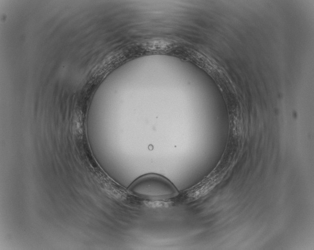 X0000067330561200604131703