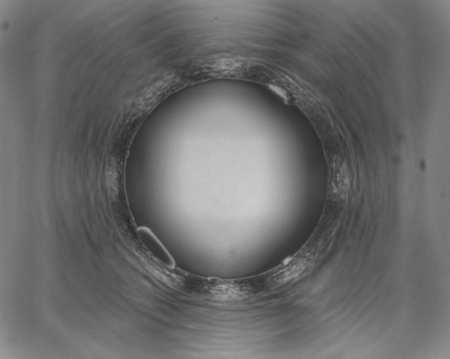 X0000067330562200604131703