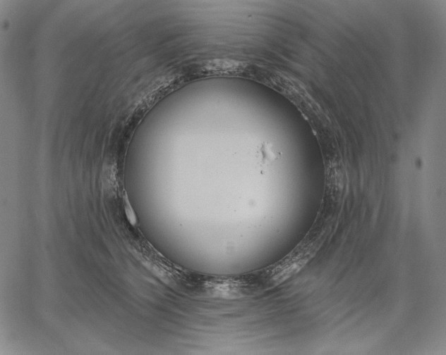 X0000067330564200604131703