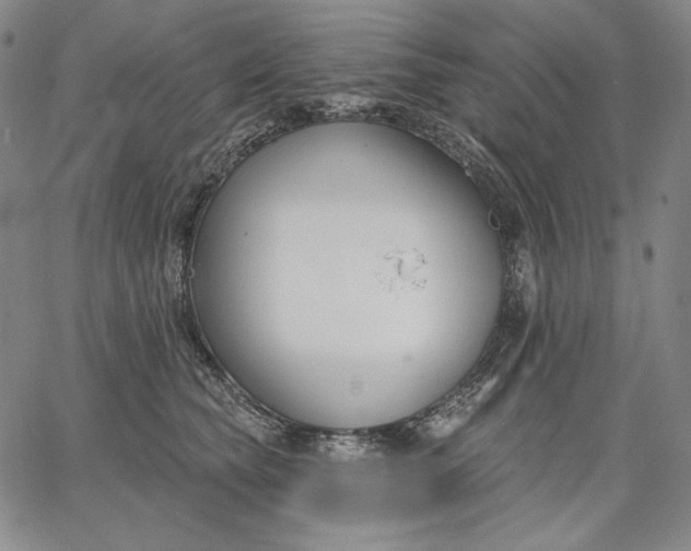 X0000067330565200604131703