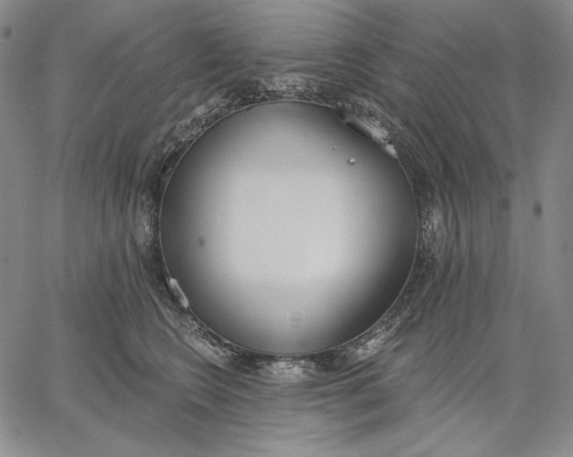 X0000067330566200604131703