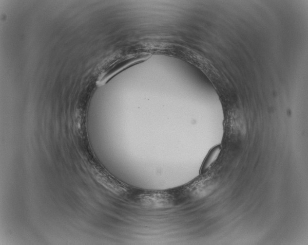 X0000067330567200604131703