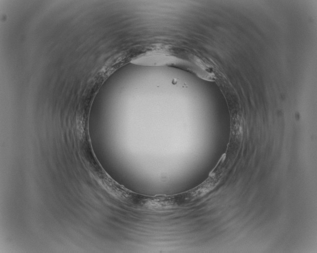 X0000067330568200604131703