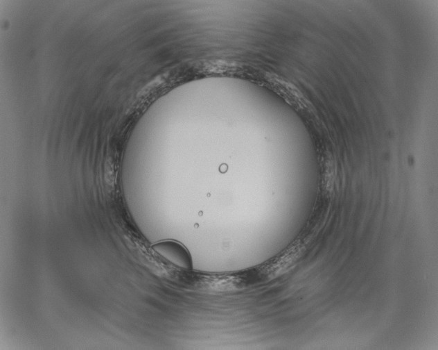 X0000067330569200604131703