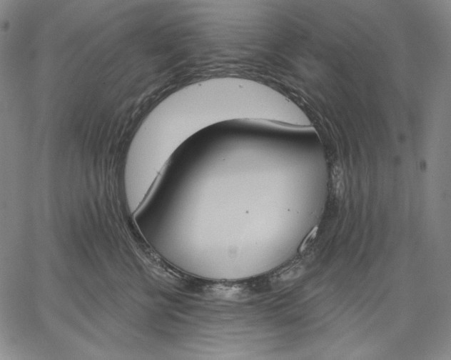 X0000067330570200604131703