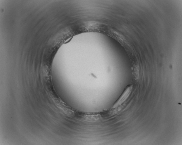 X0000067330571200604131703