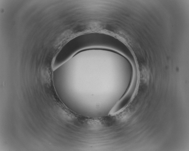 X0000067330572200604131703