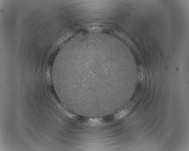 X0000067330573200604131703