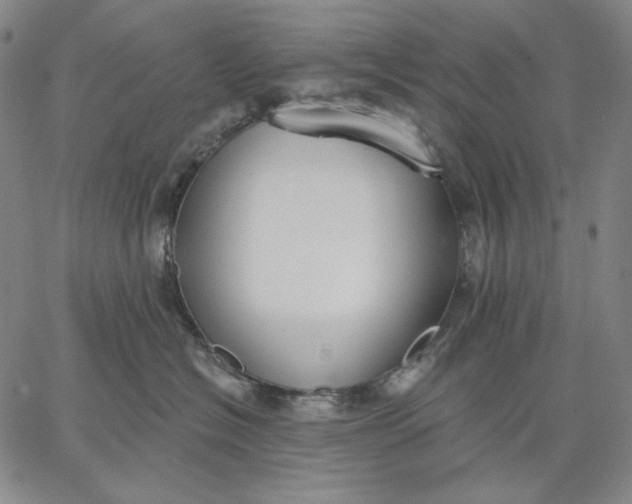 X0000067330574200604131703