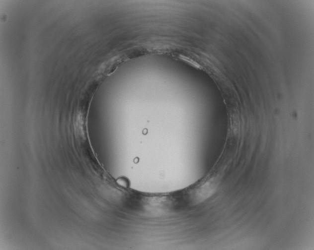 X0000067330575200604131704