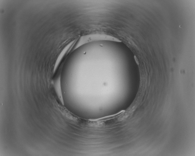 X0000067330576200604131704