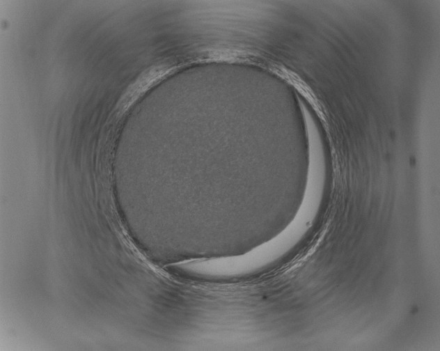 X0000067330577200604131703