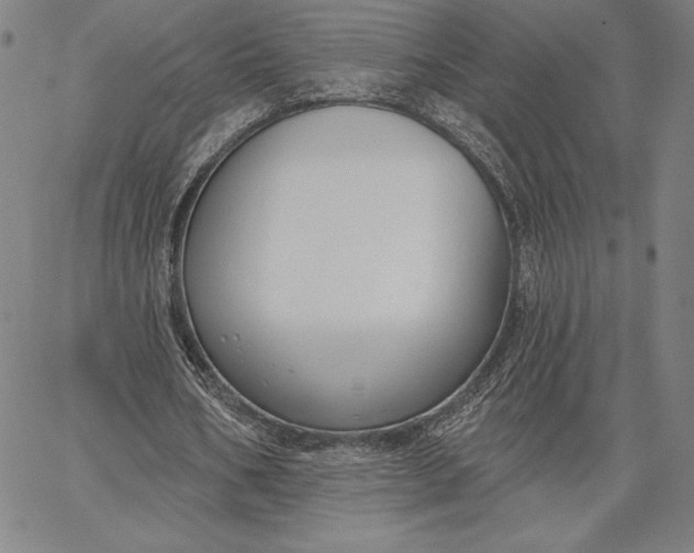 X0000067330578200604131703