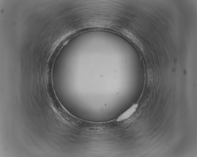 X0000067330580200604131703