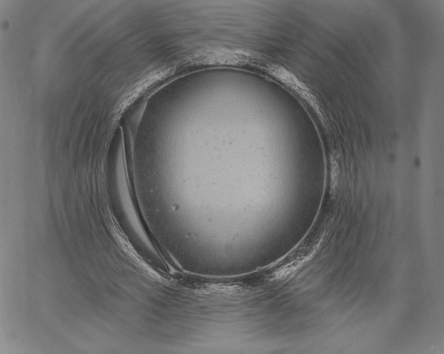 X0000067330581200604131703