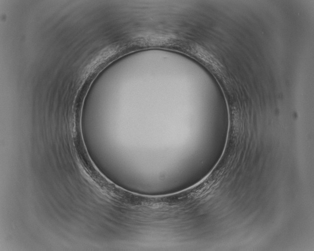 X0000067330582200604131703