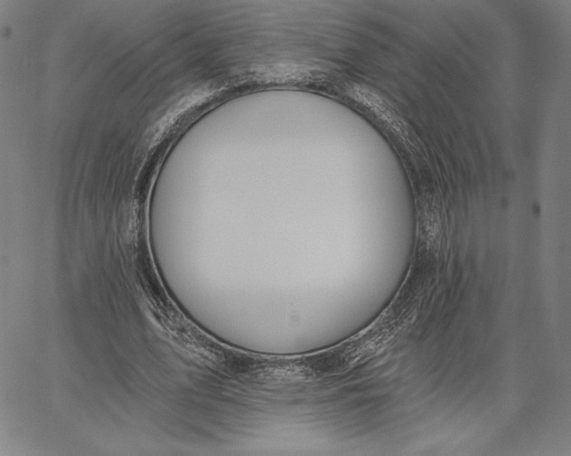 X0000067330583200604131703