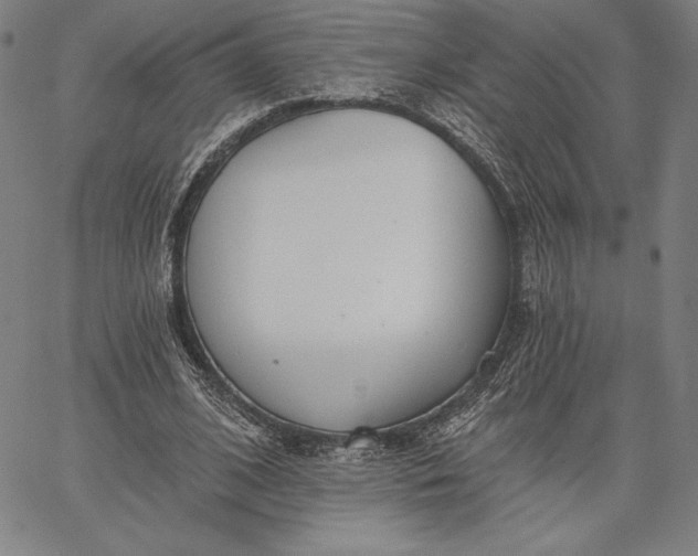 X0000067330584200604131703