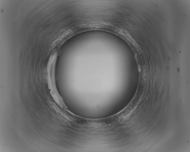 X0000067330585200604131703