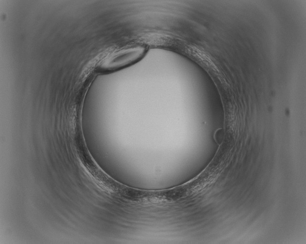 X0000067330586200604131703