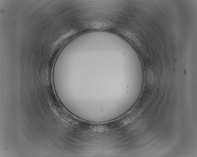 X0000067330587200604131703