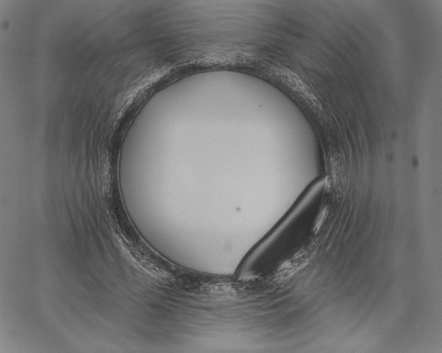 X0000067330588200604131703