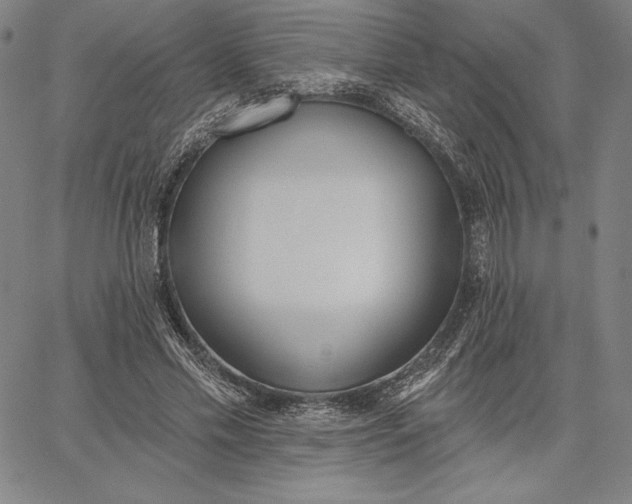 X0000067330589200604131703