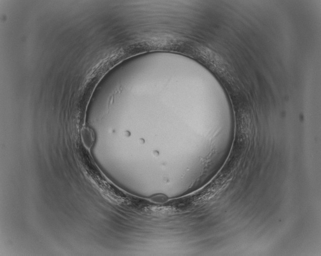 X0000067330590200604131703