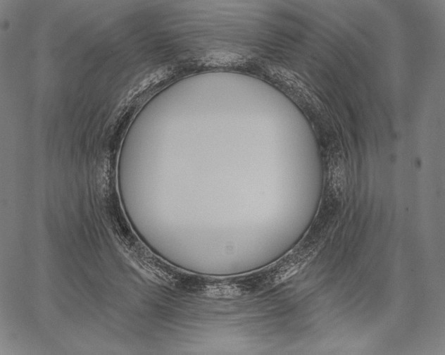 X0000067330591200604131703