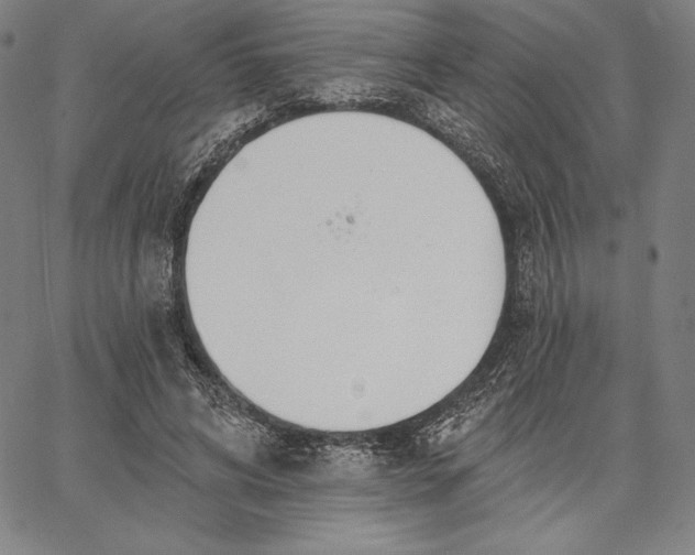 X0000067330592200604131703