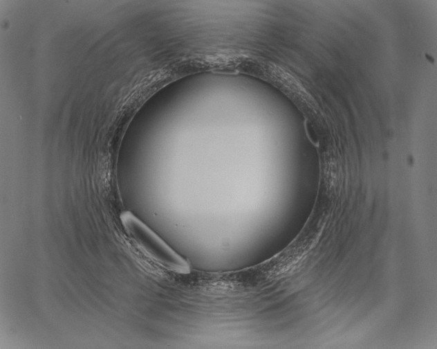 X0000067330593200604131702