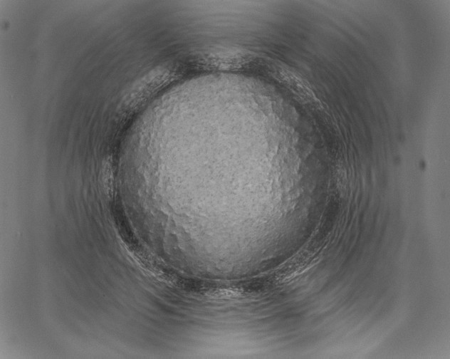 X0000067330594200604131702