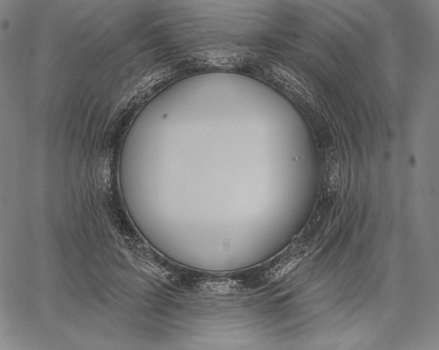 X0000067330595200604131702