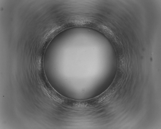 X0000067330596200604131702