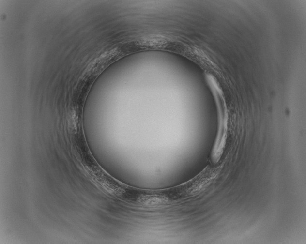 X0000067330597200604131702