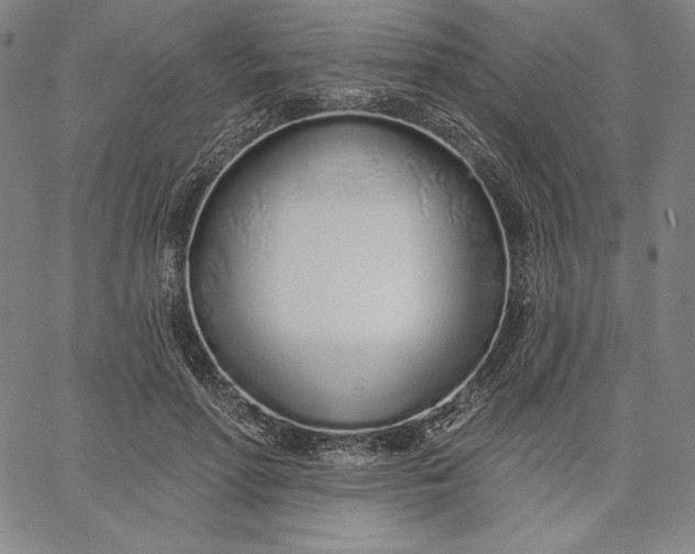 X0000067330598200604131702