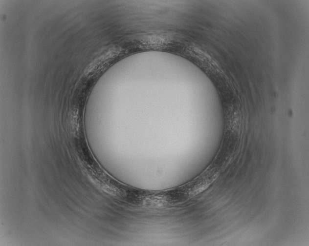 X0000067330599200604131702