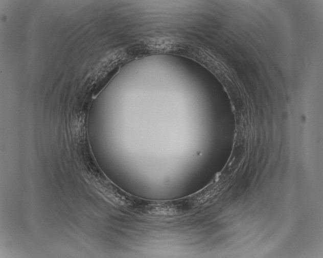 X0000067330601200604131702