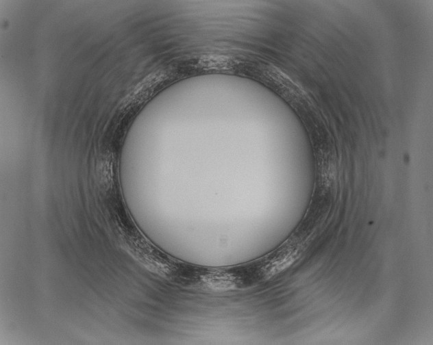 X0000067330603200604131702