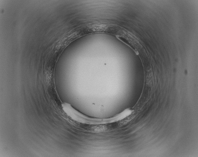 X0000067330604200604131702