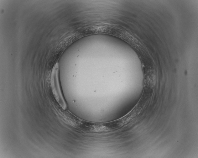 X0000067330605200604131702