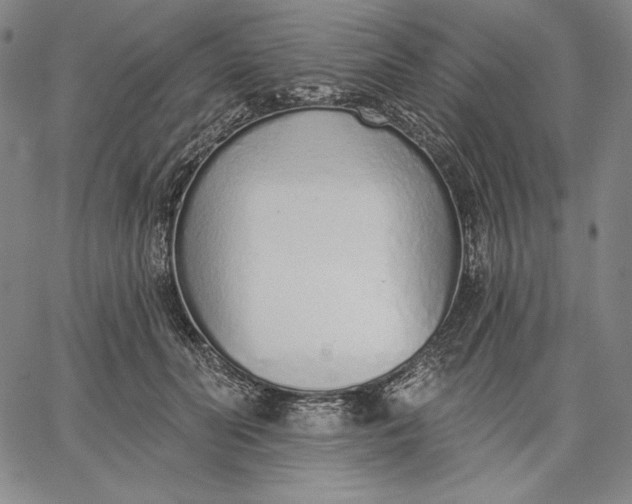 X0000067330606200604131702