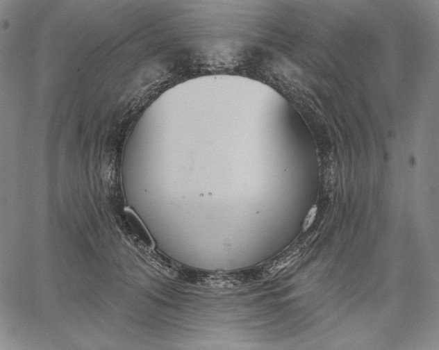 X0000067330608200604131702