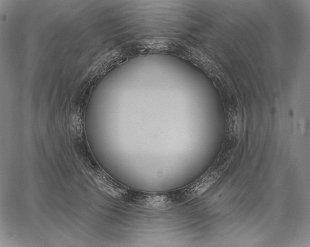 X0000067330609200604131702