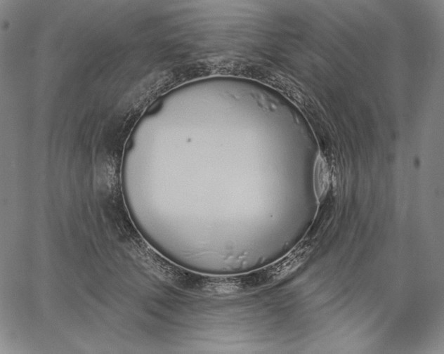 X0000067330610200604131702