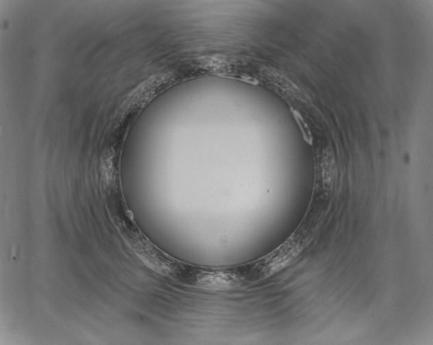 X0000067330611200604131702