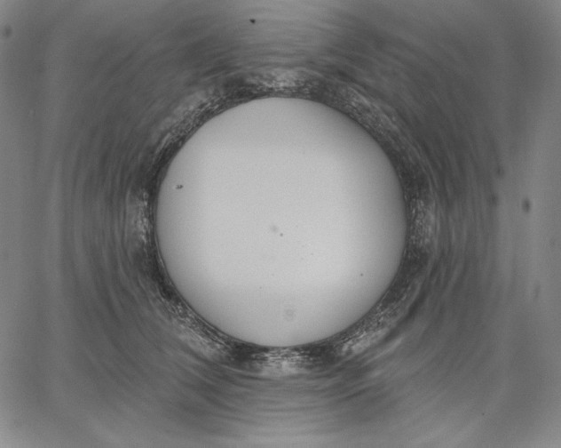 X0000067330612200604131702