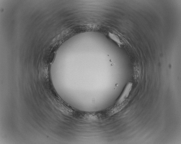 X0000067330613200604131702