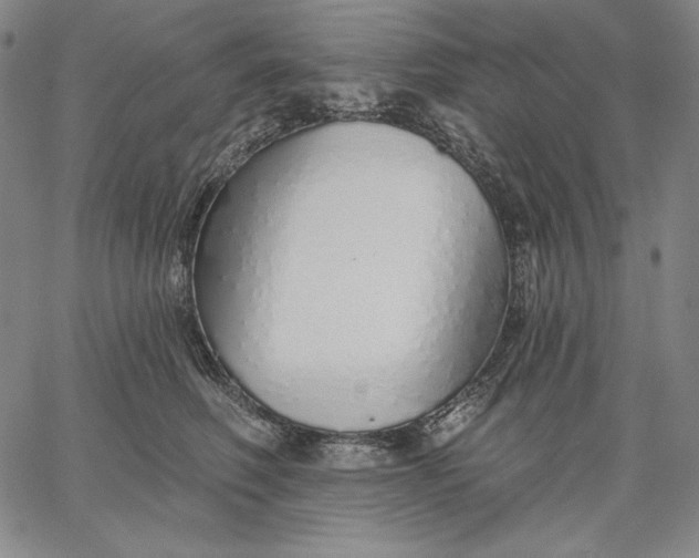 X0000067330614200604131702