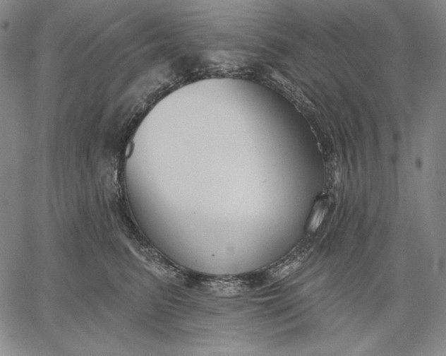 X0000067330615200604131702